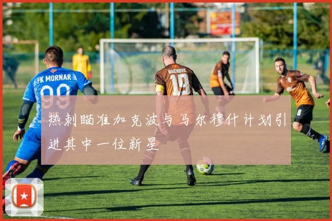 热刺瞄准加克波与马尔穆什计划引进其中一位新星